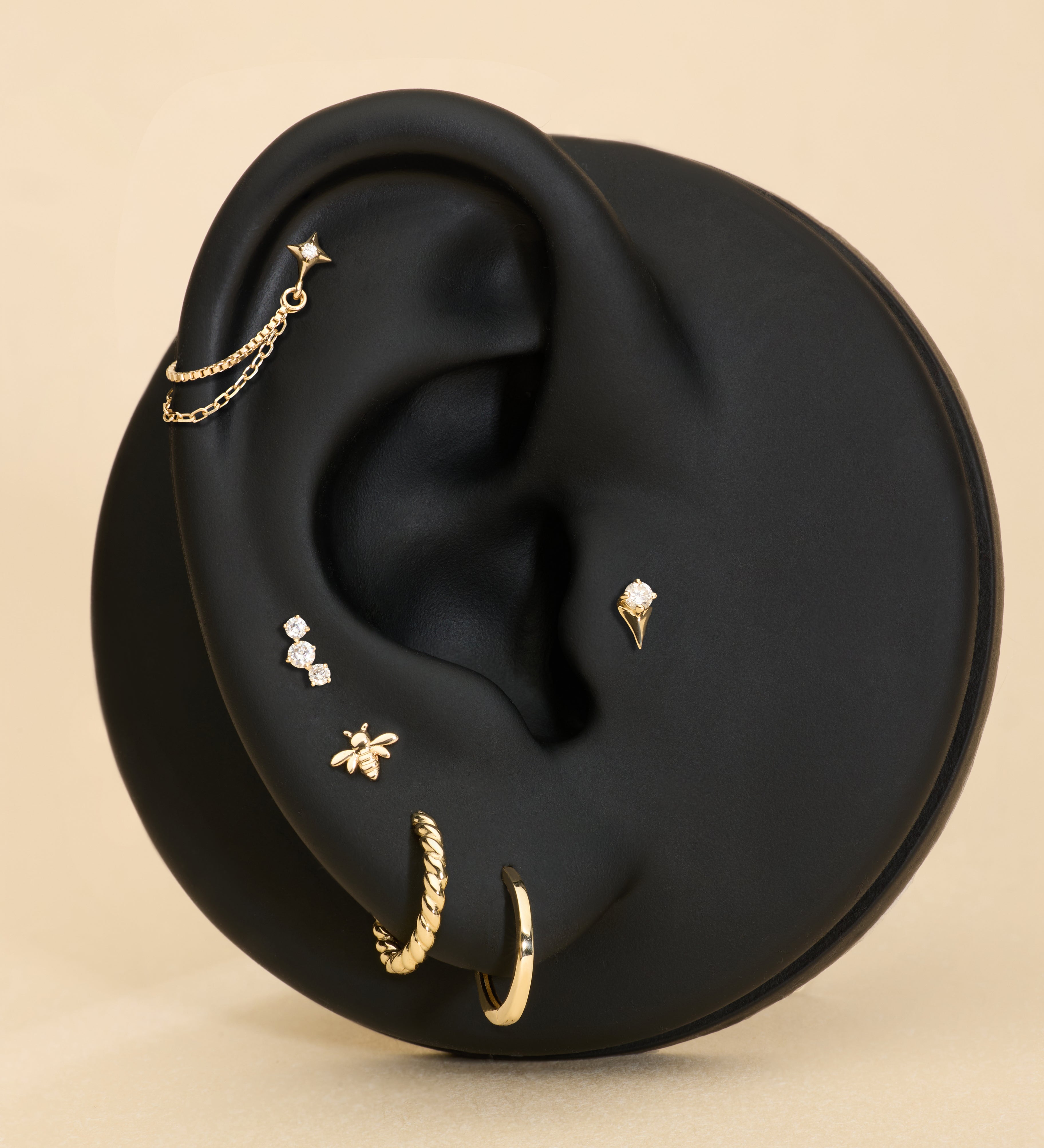 Ear with multiple gold earrings on a beige background