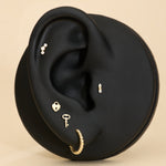 A black ear-shaped jewelry display features the 14K Solid Yellow Gold Lab-Grown Diamond Curved Trio Flat Back Stud along with four other gold and diamond earrings, all set against a beige background.