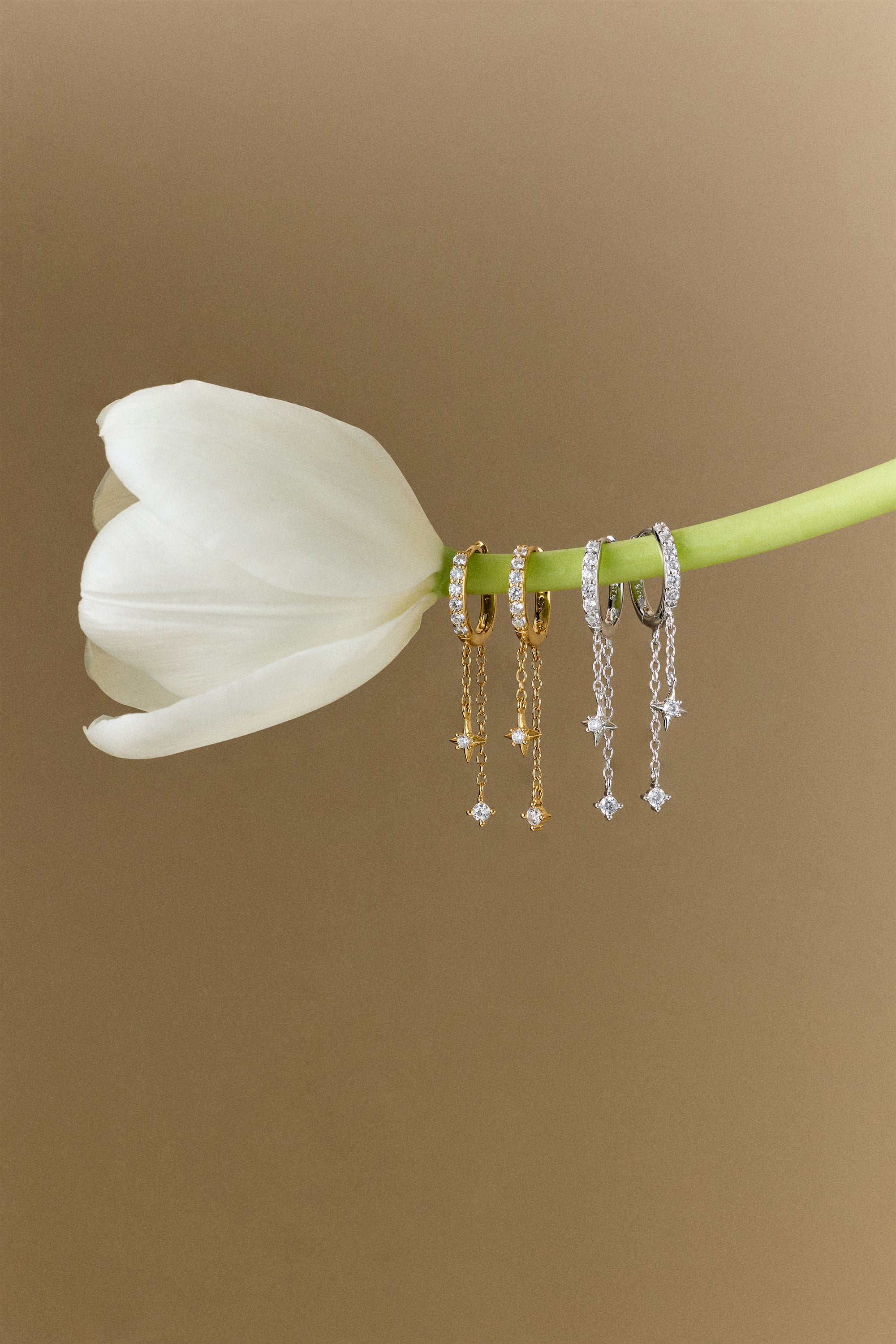 A white tulip with four pairs of earrings—including Star Double Chain Dangle Huggies in Gold—dangling from its stem, set against a plain beige background.