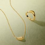 Gold necklace and ring on a light green background