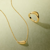 Gold necklace and ring on a light green background